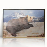 Framed acrylic print of Denali, Alaska scenery in muted earth tones, ideal for modern art wall decor.