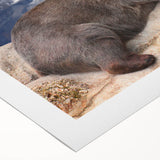 Art deco poster of Denali, Alaska, in soft blue and gray tones on rolled canvas, suitable for dining room wall art.