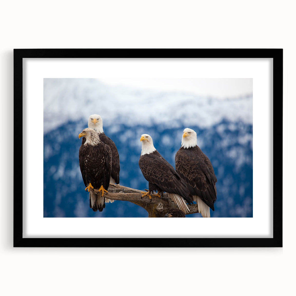 Extra large abstract art print of colorful, textured Alaskan scenery on a black framed canvas, ideal for living room decor.