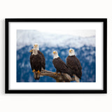 Extra large abstract art print of colorful, textured Alaskan scenery on a black framed canvas, ideal for living room decor.