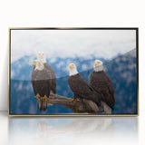 Framed acrylic print of an Alaskan landscape in muted earth tones.