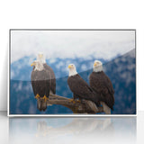 Framed acrylic print of an Alaskan landscape with soft blue and white tones, ideal for modern art wall decor in a nursery.