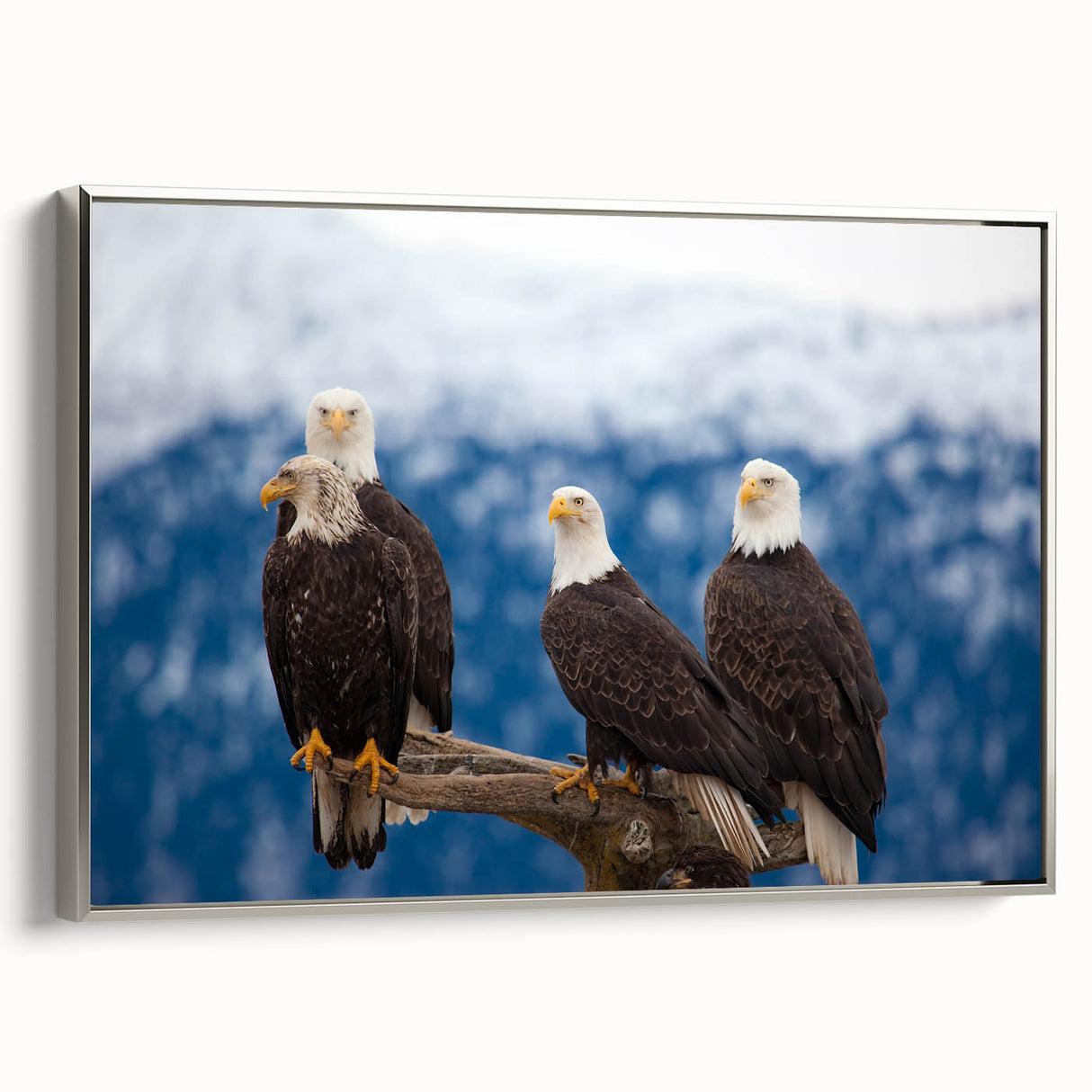 Framed canvas landscape art painting featuring a serene Alaska scenery in muted earth tones.