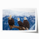 Extra large rolled print of Alaskan scenery with vivid blue and green tones, suitable as art wall dining room decor.