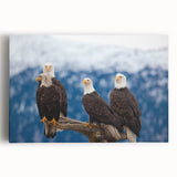 Black and white photograph of an Alaskan landscape on stretched canvas, ideal for kitchen art.