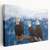 Alaskan landscape on stretched canvas featuring serene blue and white tones, suitable for kitchen wall art.