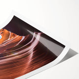 Extra large wall art featuring a line art floral design in monochrome, ideal for large living room decor.