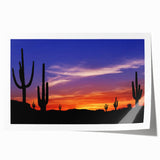 Sonoran Desert landscape with cacti and mountains on a rolled canvas print, using earthy tones.