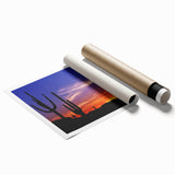 Extra large rolled print of Sonoran Desert scenery, featuring muted earth tones, ideal for classy bathroom wall art.