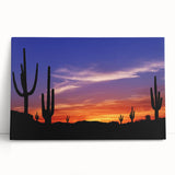Black and white photograph of the Sonoran Desert on stretched canvas, ideal for kitchen wall art or bedroom decor.