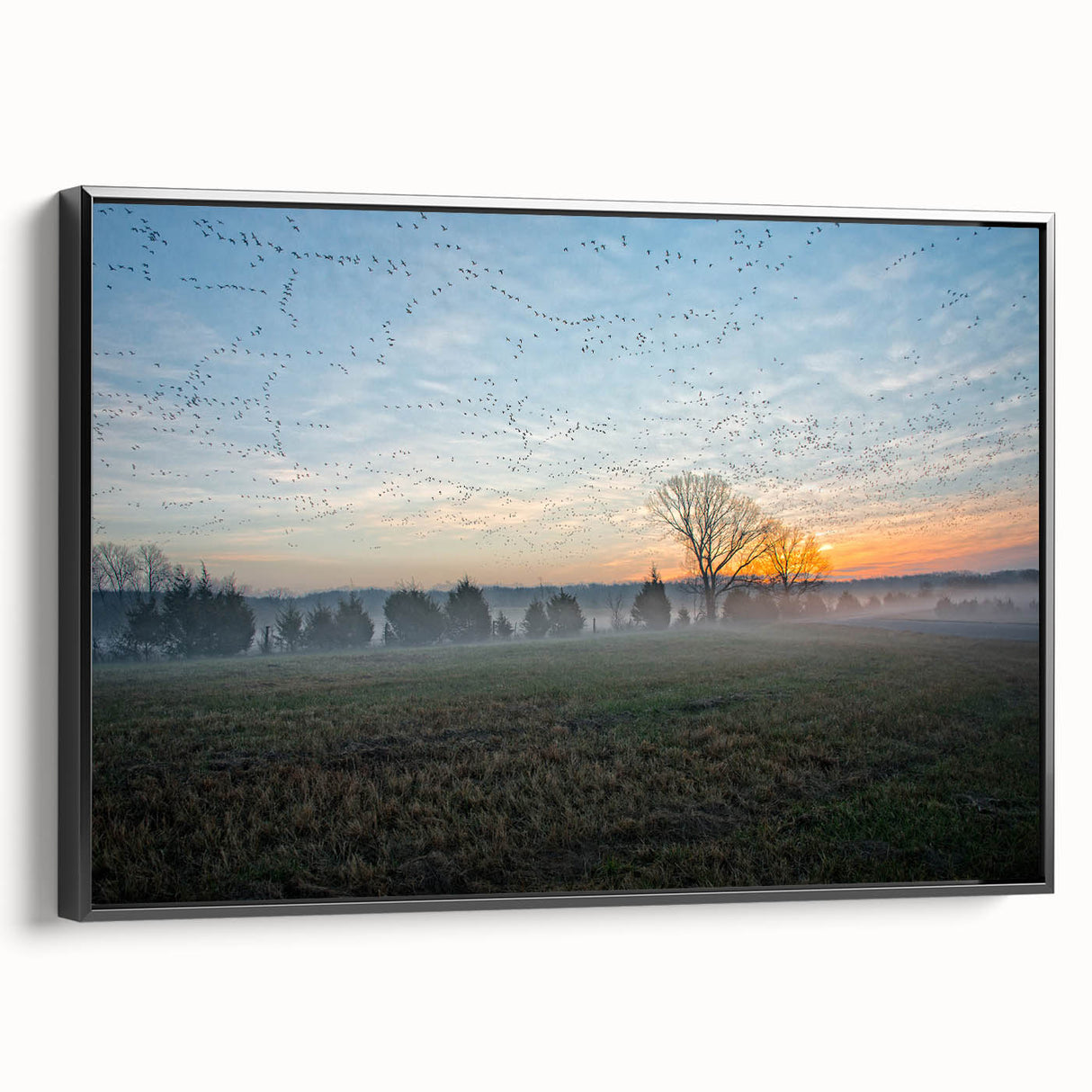 Black and white framed canvas of an Arkansas landscape, featuring vintage poster art style, ideal for bedroom wall decor.