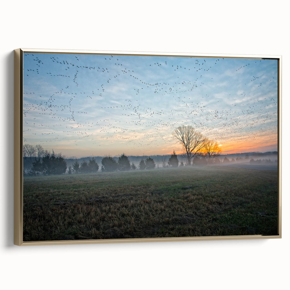 Framed canvas featuring a vintage-style Arkansas landscape in black and gold tones, ideal for bedroom wall art.