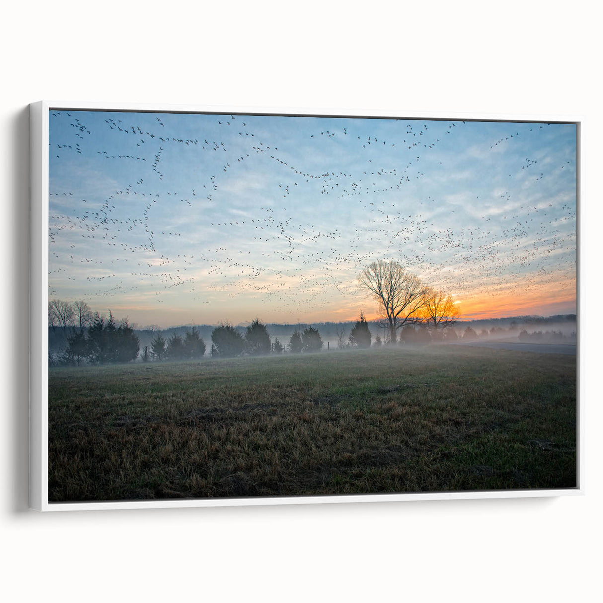 Vintage poster art of Arkansas scenery on extra large framed canvas, featuring colorful art in black.