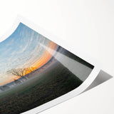 Extra large rolled print of line art flowers in monochrome, ideal for large living room wall art.