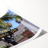 Extra large wall art featuring line art flowers in muted earth tones on a rolled print, ideal for large living room decor.