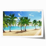 Extra large rolled print of Catalina, California scenery with vibrant floral elements, ideal for dining room wall art.