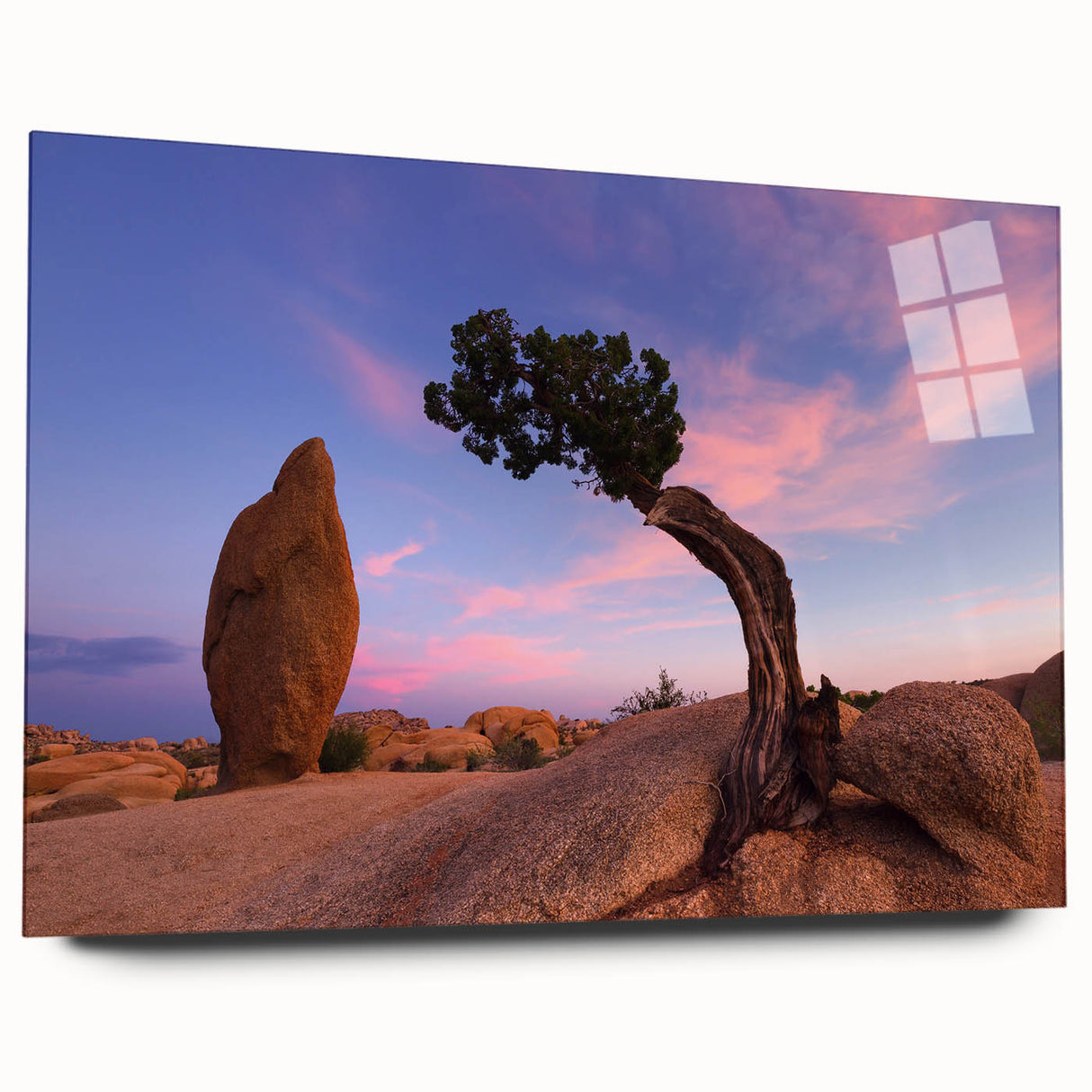 Acrylic print of Joshua Tree landscape in earth tones, ideal for bedroom or dining room decor.