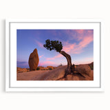 Abstract art print of Joshua Tree with soft brown and beige tones on a white matted frame, suitable for dining room decor.