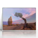 Acrylic print of Joshua Tree in muted earth tones, framed in white, suitable for modern art wall decor or nursery.