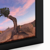 Close-up of a black wall art depicting Joshua Tree, featuring a textured finish on a framed canvas.