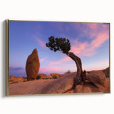 Framed canvas of Joshua Tree landscape in muted gold and black tones, ideal for bedroom wall art.