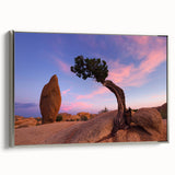 Framed canvas featuring a Joshua Tree landscape in muted earth tones, ideal for adding a vintage touch to any room.