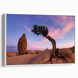Vintage poster art of Joshua Tree on framed canvas, featuring a vibrant color palette, suitable for living room decor.