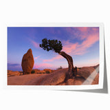 Joshua Tree landscape on a rolled print, featuring earthy tones, ideal for art wall dining room.