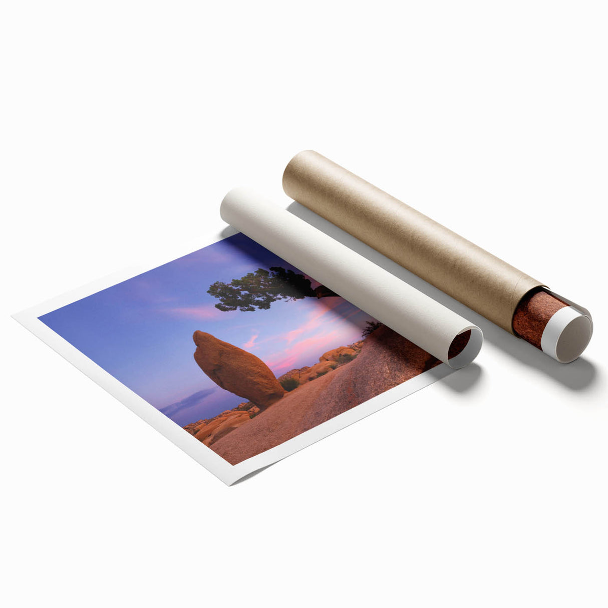 Joshua Tree landscape in muted earth tones on a large rolled canvas, suitable for classy bathroom or living room wall art.