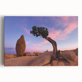 Black and white photograph of Joshua Tree on stretched canvas, ideal for kitchen wall art.