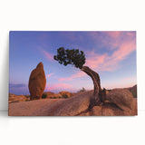 Black and white photo of Joshua Tree on stretched canvas, ideal for kitchen wall art or bedroom ambiance.