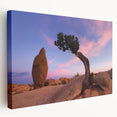 Joshua Tree landscape on stretched canvas with earth tones, ideal for kitchen wall art.