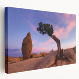 Joshua Tree landscape on stretched canvas with earth tones, ideal for kitchen wall art.