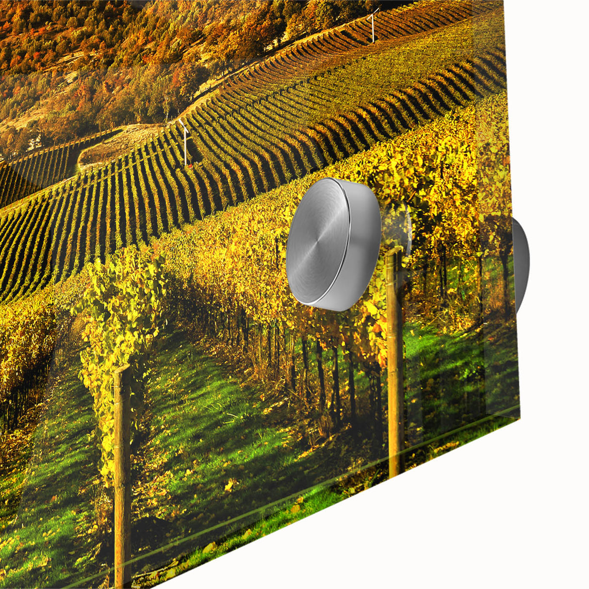 Large abstract depiction of Napa Valley in muted earth tones on acrylic glass, suitable for dining room art.