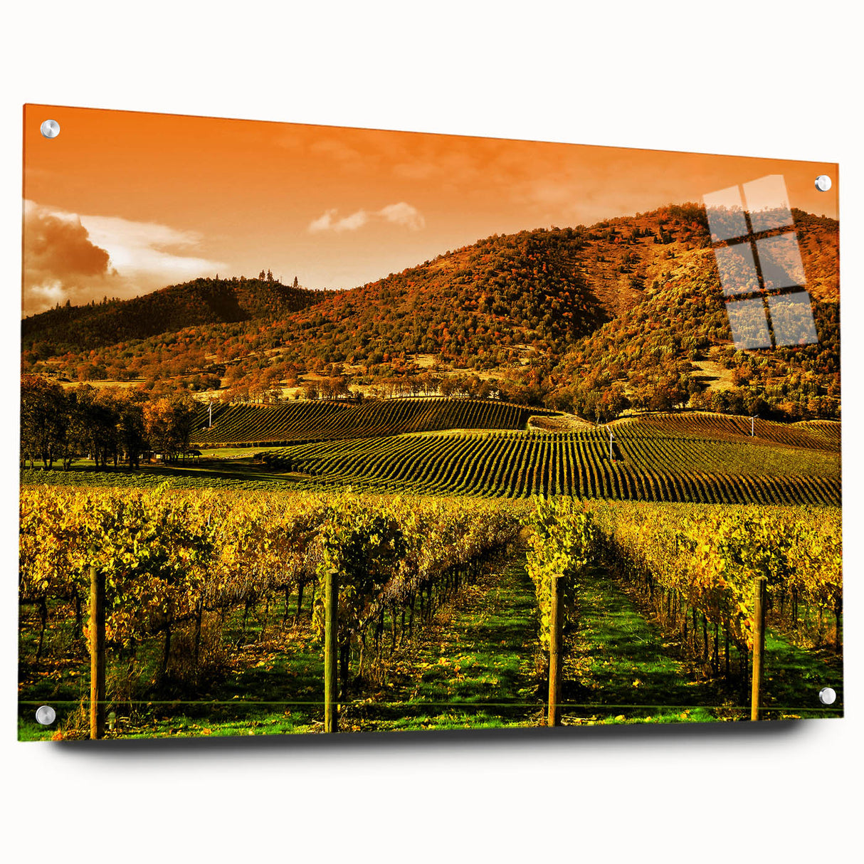 Acrylic print of Napa Valley landscape in earth tones, suitable for dining room or bedroom wall art.