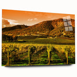 Acrylic print of Napa Valley landscape in muted earth tones, ideal for bedroom or dining room art.