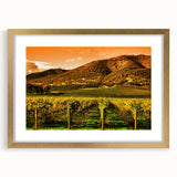 Extra large wall art depicting a textured abstract view of Napa Valley in muted earth tones on a framed canvas.