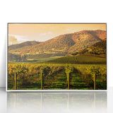 Acrylic print of Napa Valley landscape in soft, earthy tones, framed in white, suitable for modern art wall decor.