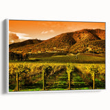 Framed canvas of vintage poster art depicting Napa Valley scenery in vibrant colors, ideal for living room decor.