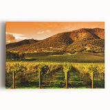 Black and white stretched canvas of Napa Valley, ideal for kitchen wall art.