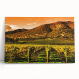 Black and white stretched canvas of Napa Valley scenery, ideal for kitchen wall art or bedroom decor.