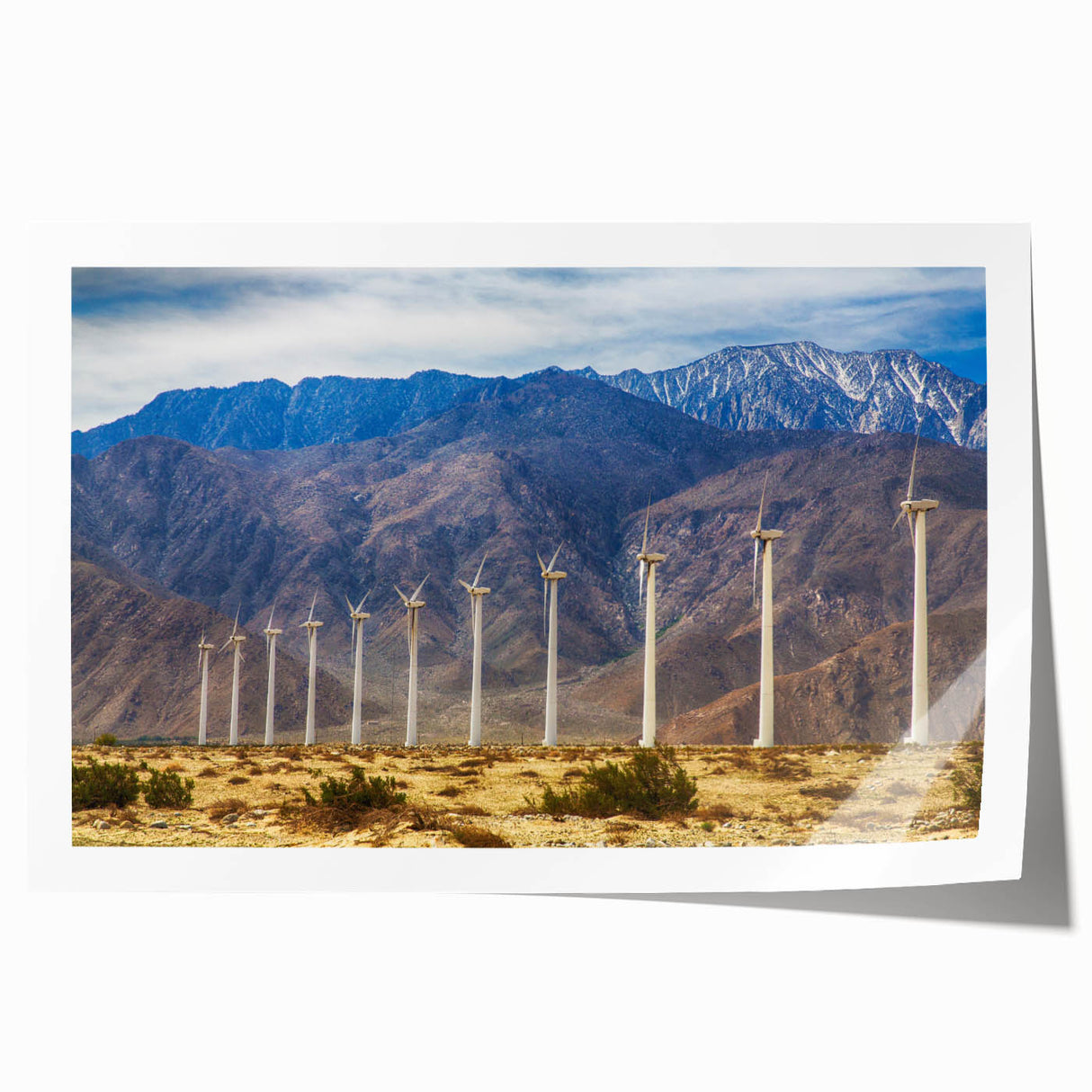 Extra large rolled print of a Palm Springs landscape with vibrant green palm trees and blue sky.