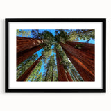 Extra large abstract art print of colorful, textured California sequoia scenery in a black frame.