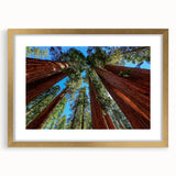 Extra large wall art featuring a textured abstract print of California's Sequoia in muted earth tones, framed in gold.