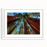 Abstract art print of a Sequoia tree in muted earth tones on a white framed canvas.