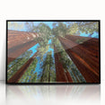 Large abstract wall art featuring a California sequoia scene in muted green and brown tones, framed in black acrylic.