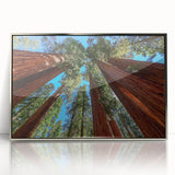 Framed acrylic print of a mid-century modernist California sequoia landscape in muted earth tones.
