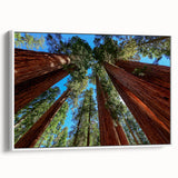 Framed canvas of a vintage-style landscape art painting featuring California's Sequoia trees in muted earth tones.