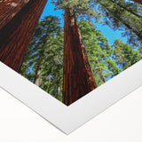 Art deco poster of California Sequoia on rolled canvas, featuring earthy hues, ideal for dining room wall art.