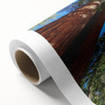 Art Deco-style poster of California's Sequoia trees on rolled canvas, in earthy green tones, ideal for nursery wall art.